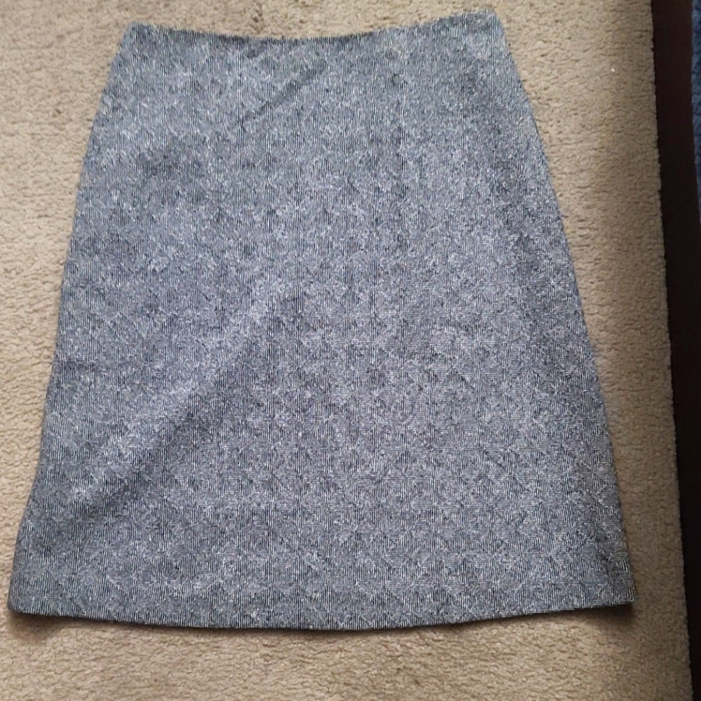 Ann Taylor skirt size 12Petite